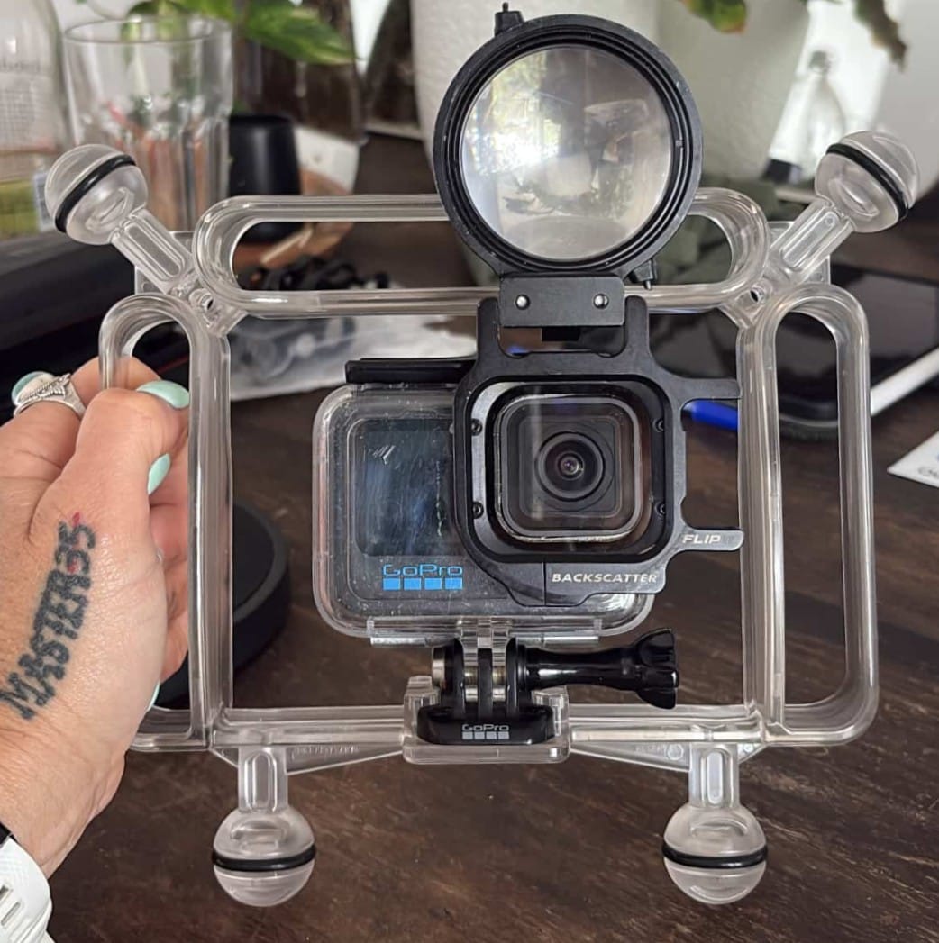 Quadball action camera dive tray