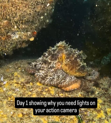 Curse of the changing white balance, how to stop the colour shift mid footage