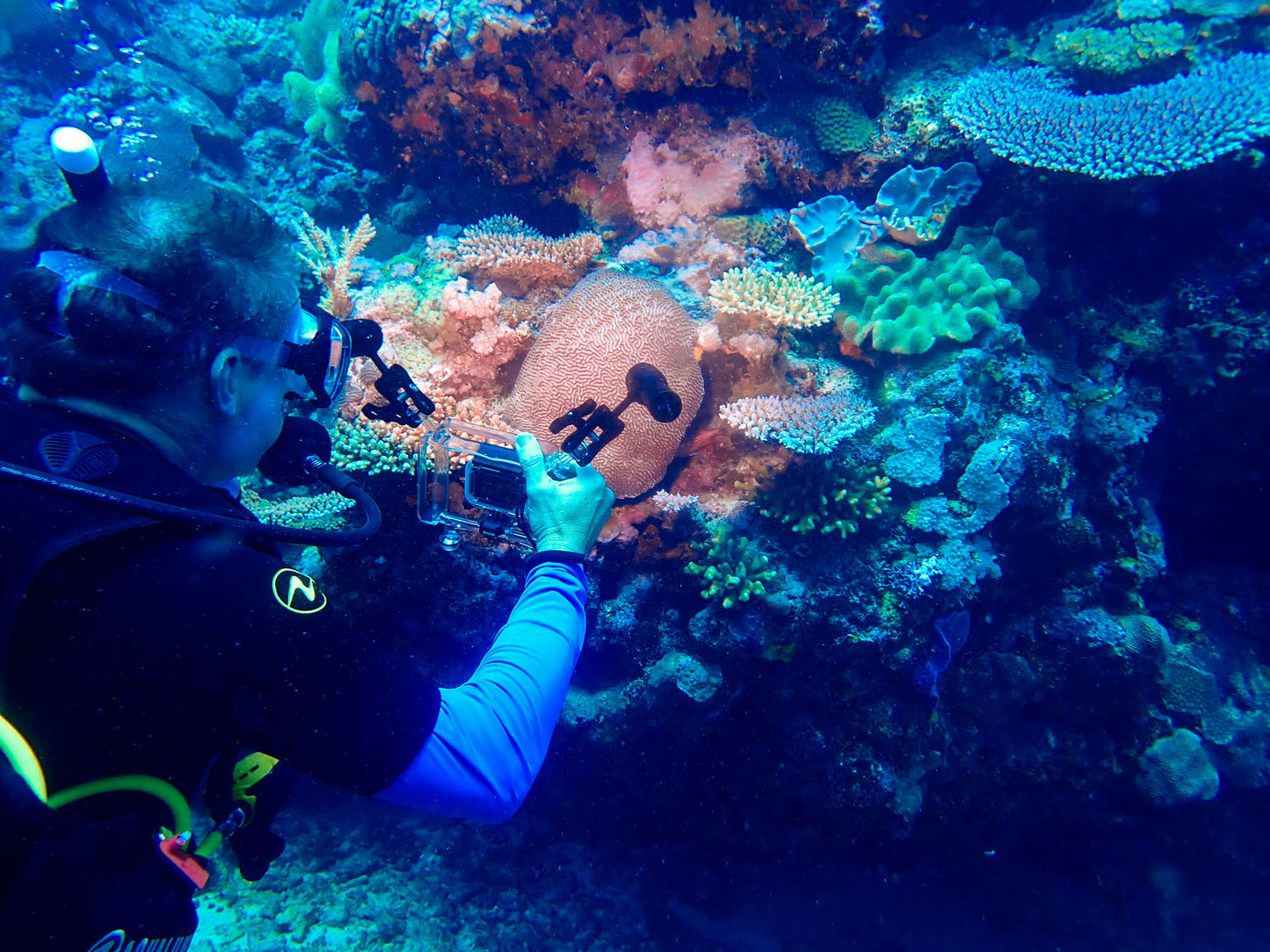 GoPro Dive Handle for Action Cameras – Lightweight Underwater Grip with 4 Ball Mounts | Molausk