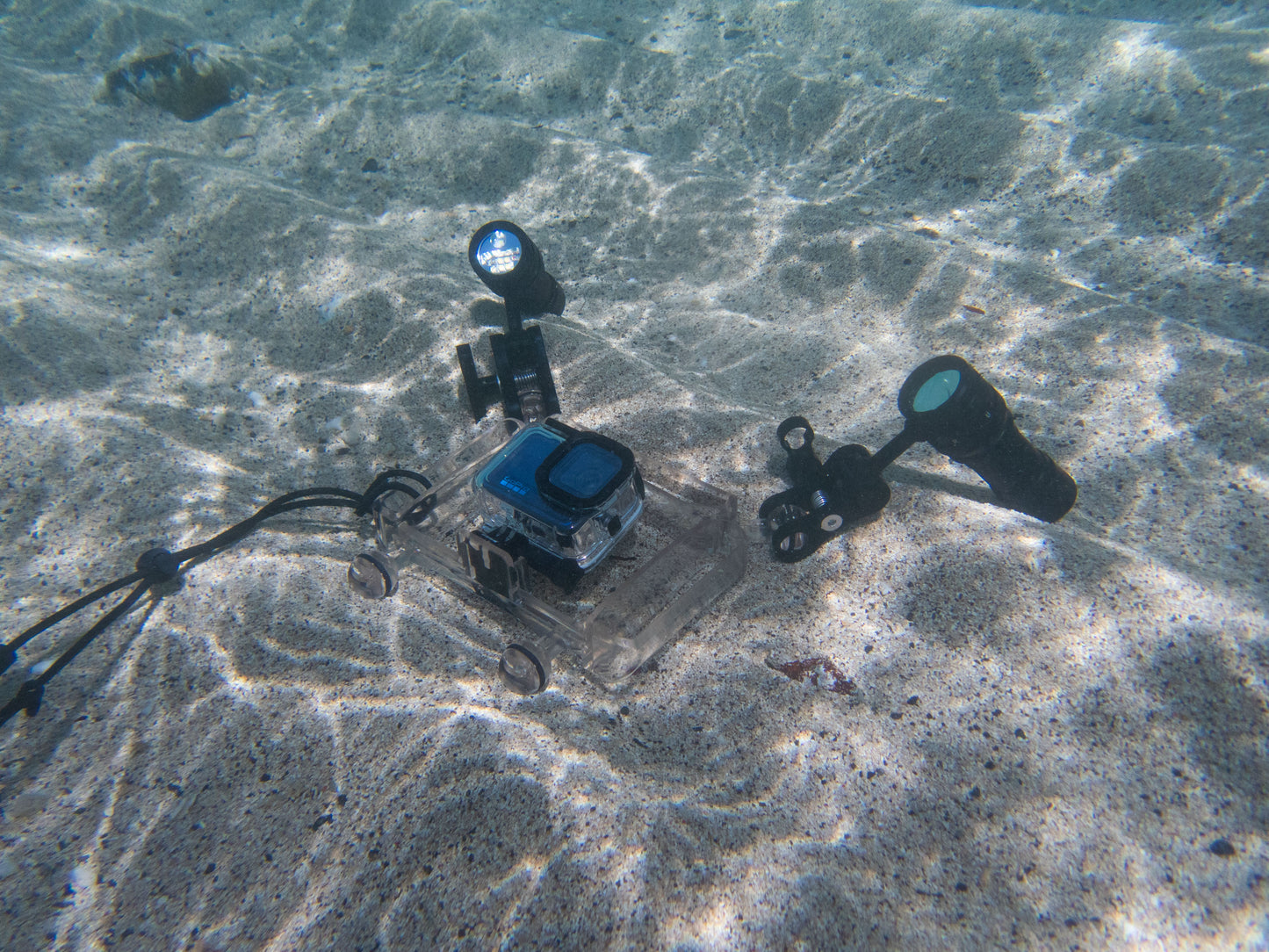 GoPro Dive Handle for Action Cameras – Lightweight Underwater Grip with 4 Ball Mounts | Molausk